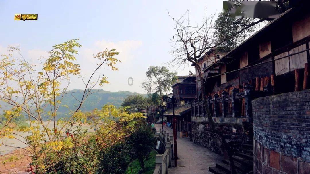 逃出白海豹洞